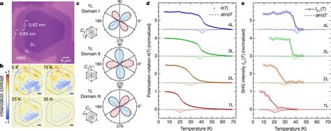 linear birefringence polarimeter|linear polarization rotation.